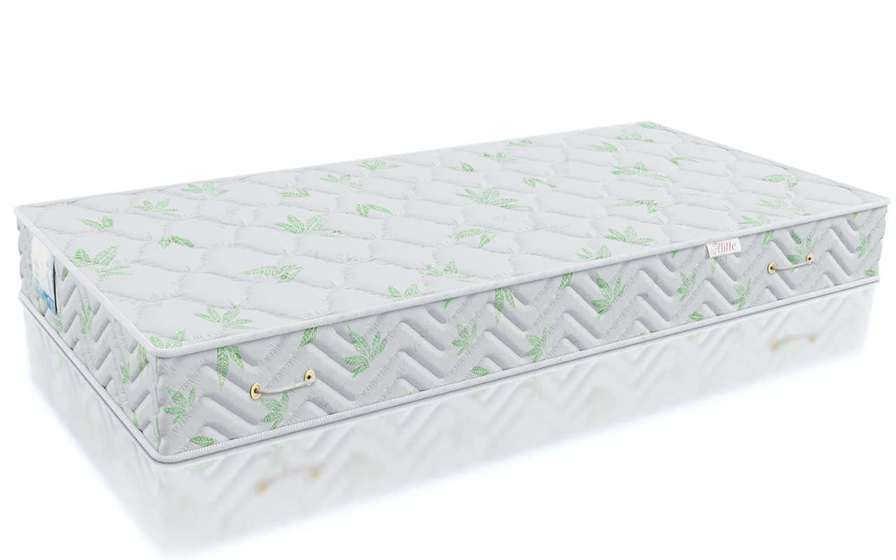 Alitte Classicus Ingres TFK M-26-K фото 3